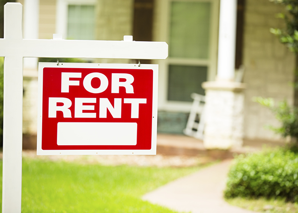 Maryland Rental Property Requirements Lead Check Pro